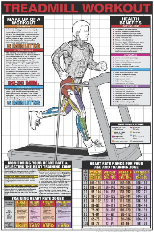 treadmill cushioning benefits guide-Treadmill Workout Poster