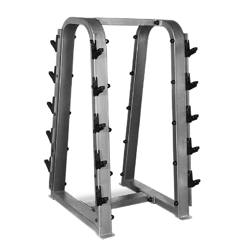 Barbell for beginner workouts-INTEK Fixed Weights Barbell Rack