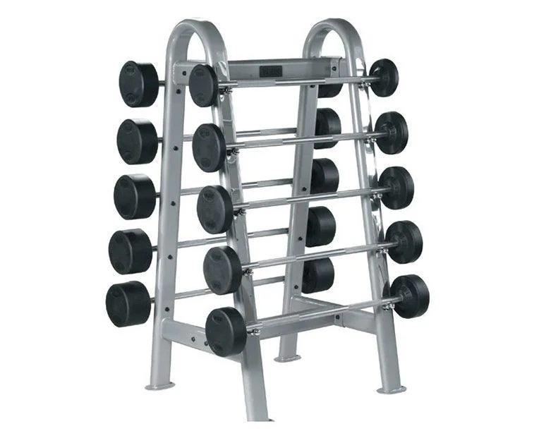 Barbell with premium steel-York Barbell ETS Fixed Straight and Curl Barbell Rack - Silver (Holds 10 Bars) 69051